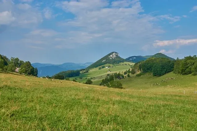 Jura Krakowsko-Częstochowska - raj dla aktywnych