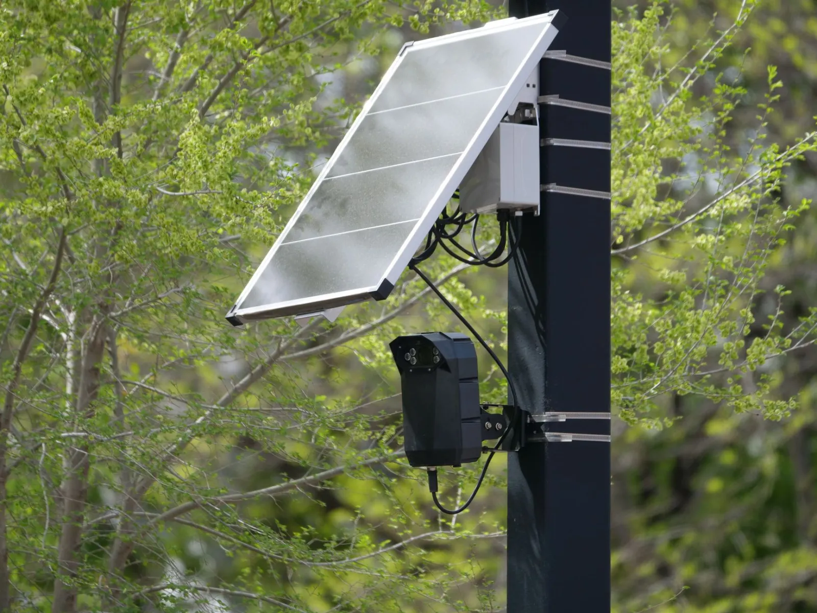 Solar-powered surveillance camera on a street pole surrounded by greenery, highlighting modern urban technology.